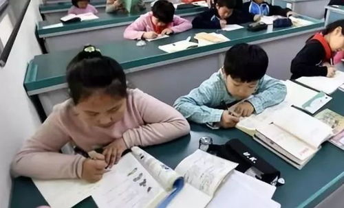 中小學(xué)課后服務(wù)全面鋪開，教育咨詢助力家長(zhǎng)滿意度提升